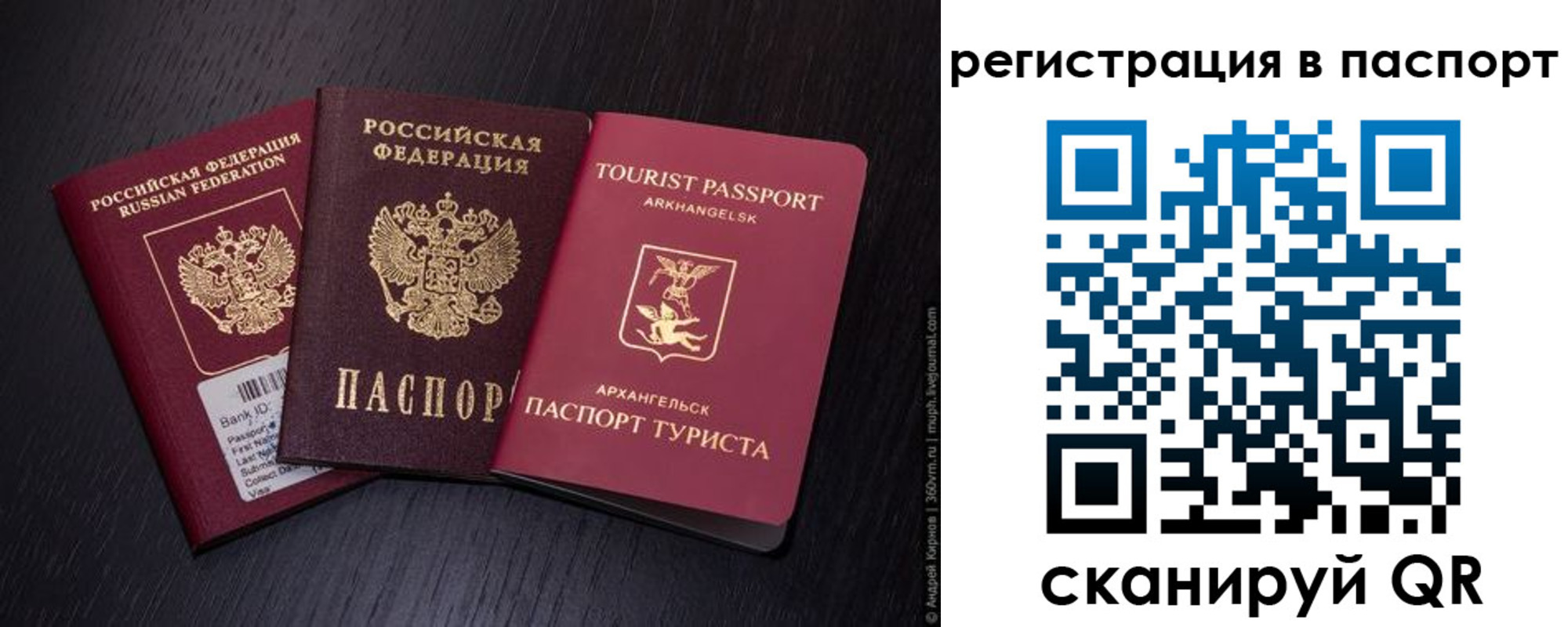прописка в квартире в Лосино-Петровском